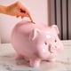 thumbnail image 4 of Piggy Bank PIG WORLD de cerámica de 11 pulgadas para adultos y niños, 4 of 9