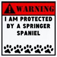 thumbnail image 2 of CafePress - Protected By A Springer Spaniel Body Suit - Baby Light Bodysuit, 2 of 4
