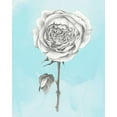 thumbnail image 2 of Popp, Grace 12x14 White Modern Wood Framed Museum Art Print Titled - Graphite Rose I, 2 of 4