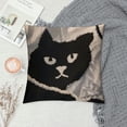thumbnail image 2 of SHANXI Cute Black Cat Decor Neutral Beige Embroidered Velvet Decorative Throw Pillow Cover  for Sofa Couch Bed Car 22x22in, 2 of 5