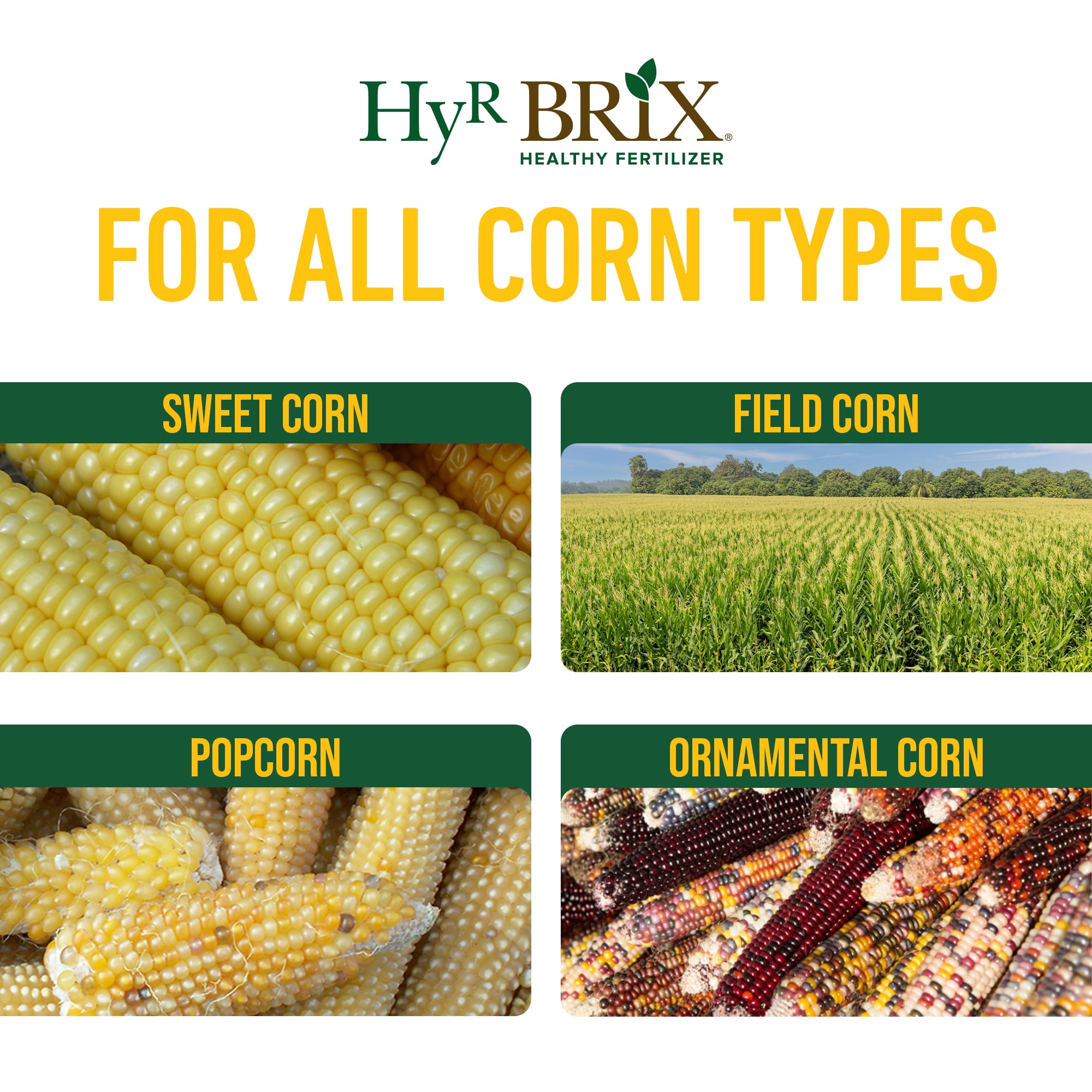 HyR BRIX Slow-Release 16-7-10 Sweet Corn Fertilizer, 20lb Bucket - Corn Food with Calcium & Sulfur - Essential Micronutrients for Big, Uniform Ears & Sweet Flavor