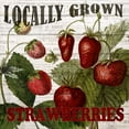 thumbnail image 2 of Bailey, Ann 15x15 Black Ornate Wood Framed with Double Matting Museum Art Print Titled - Fresh Picked Strawberries, 2 of 4