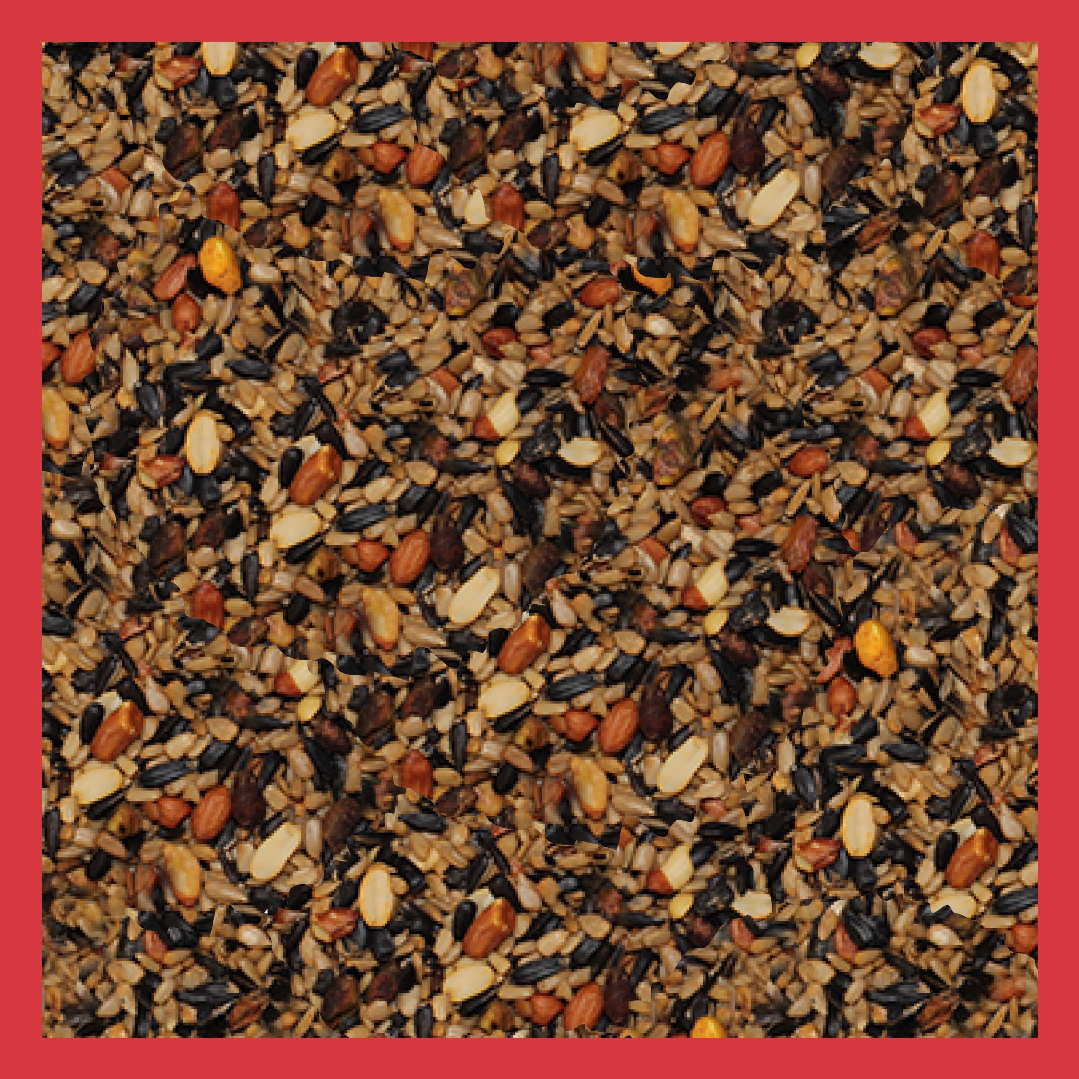 3-D Pro Blends Sizzle N' Heat, Wild Bird Food, Spicy Bird Seed to Prevent Squirrels, 5 Pounds