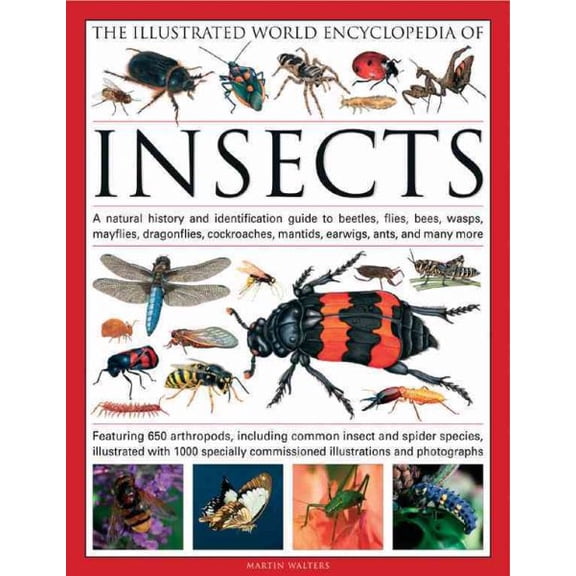 Pre-Owned The Illustrated World Encyclopedia of Insects : A Natural History and Identification Guide to Beetles, Flies, Bees, wasps, Springtails, Mayflies, Stoneflies, Dragonflies, Damselflies, Cockroaches, Mantes, Earwigs, Stick and Leaf Insects, Bristletails, Dipteran, Crickets, Bugs, Grasshoppers, Fleas, Spid (Hardcover)