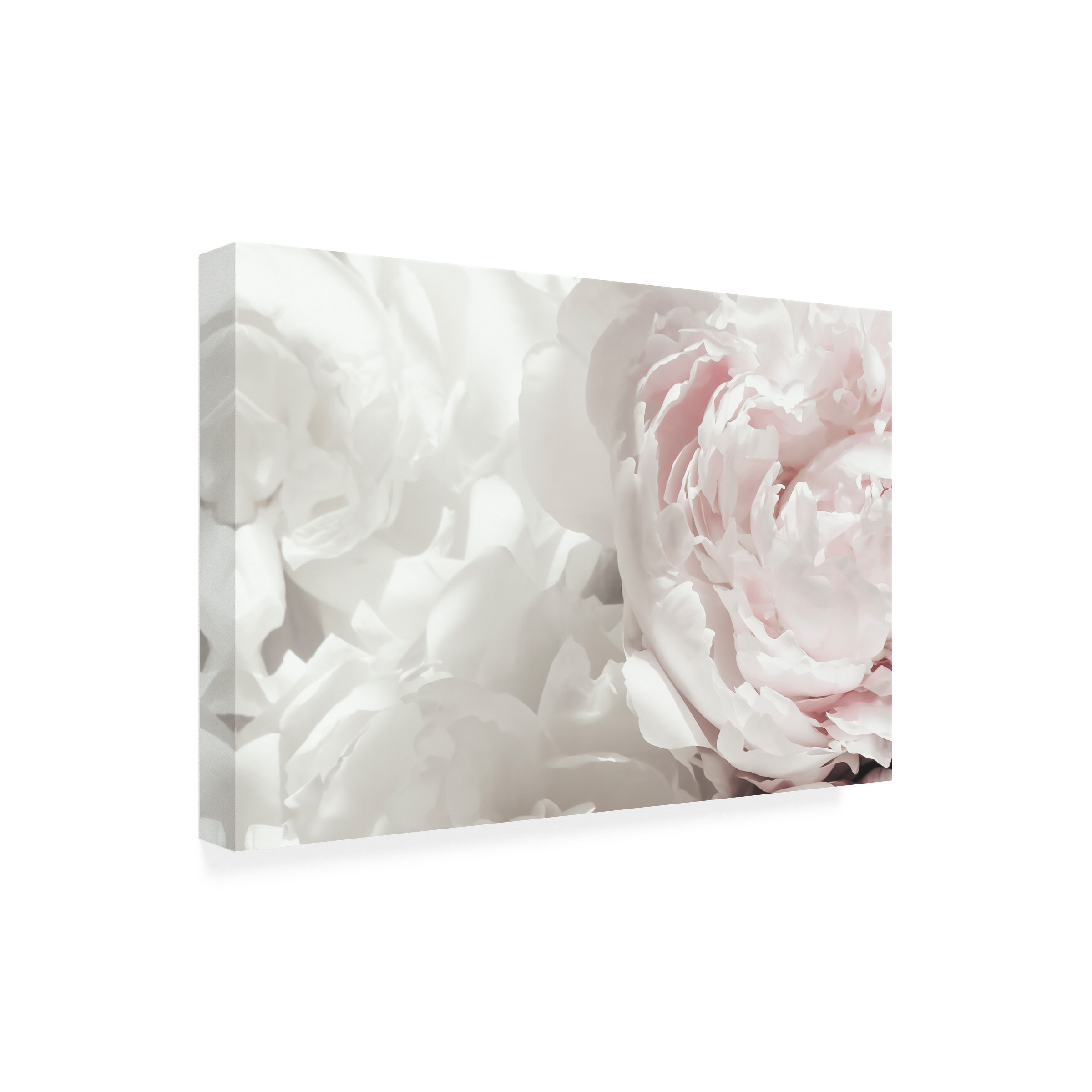 Trademark Fine Art Pictufy Studio III Peony 25 Canvas Wall Art