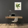 thumbnail image 3 of Vision Studio 20x24 White Modern Wood Framed Museum Art Print Titled - Verdant Foliage IV, 3 of 4