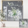 thumbnail image 2 of Fleur Cleome Splash I - Toile Encadrée Florale Traditionnelle, 2 of 3