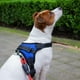 thumbnail image 3 of Pechera Arnés para Perro Mr. Pets, Reflectante Ajustable azul Chico, 3 of 10