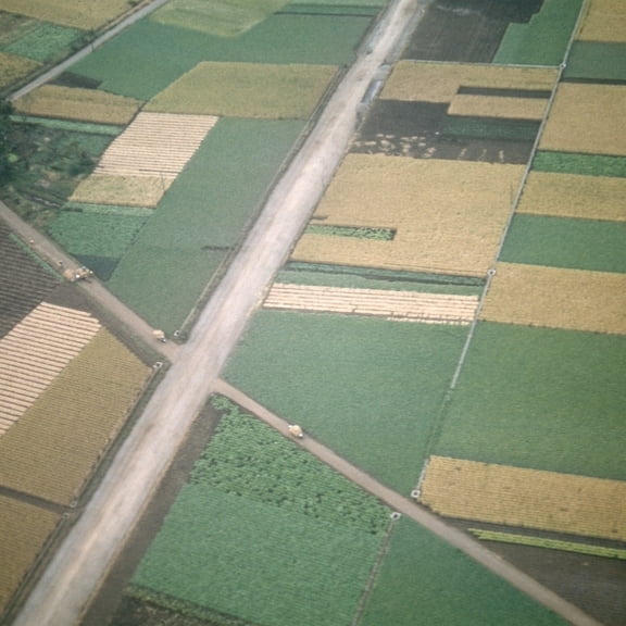 Celer - Perfectly Beneath Us - Music & Performance - Vinyl