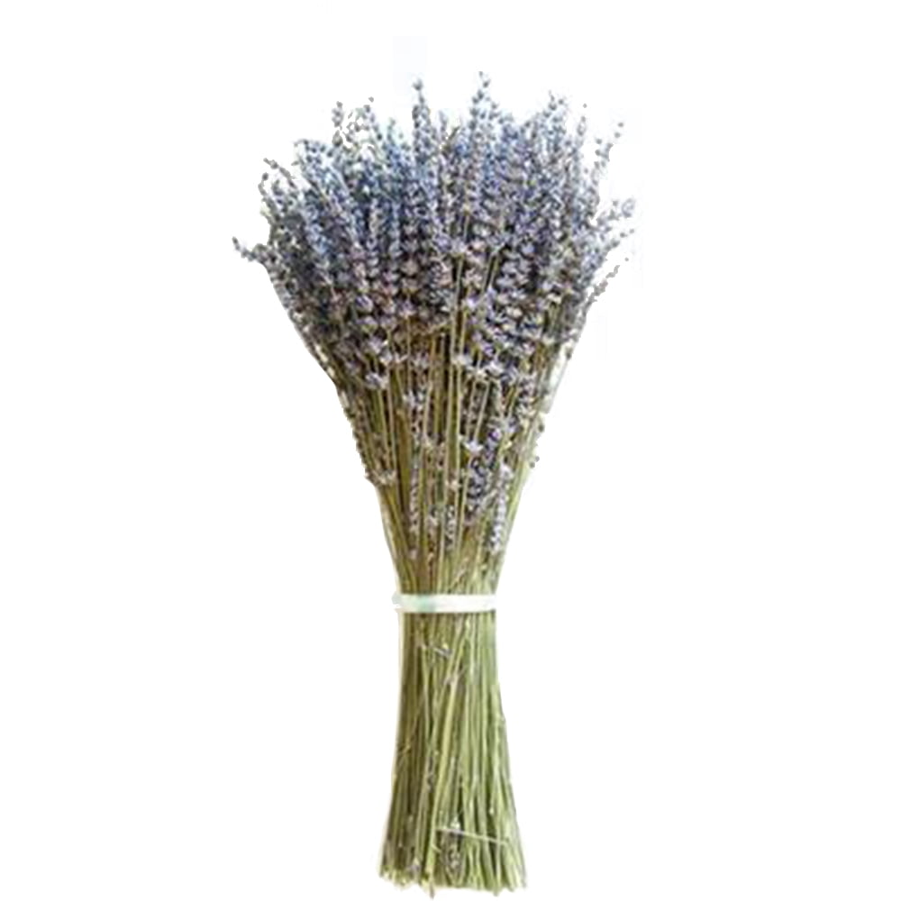 100Pcs Natural Lavender Dried Flowers Flower Bouquet Home Decor DIY Props 