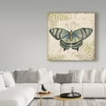 thumbnail image 3 of Trademark Fine Art 'Butterfly Daydreams 4' Canvas Art by Jean Plout, 3 of 3