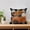 B, variant on YBYHDS Halloween Linen Pillowcase Holiday Printed Pillowcase Sofa Home Decoration Pillowcase Clearance Sales Today Deals Prime