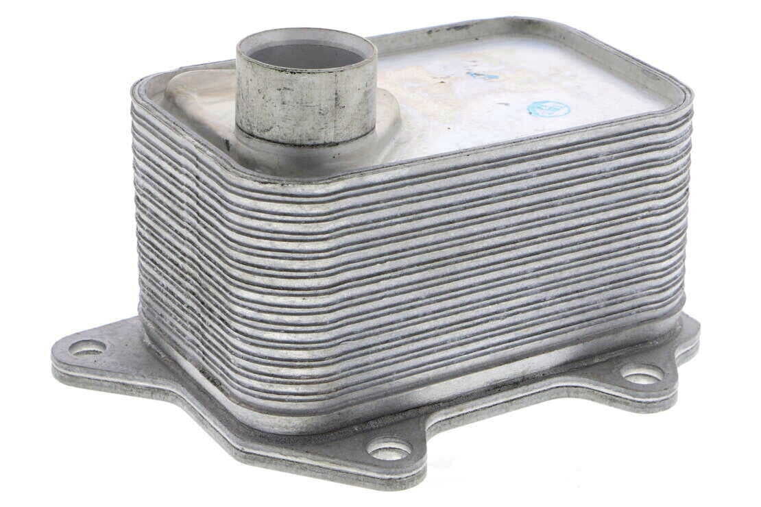 VEMO V15-60-6068 Oil Cooler, engine oil