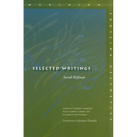 Meridian: Crossing Aesthetics Selected Writings, (Paperback)