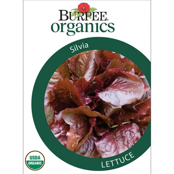 Burpee Organics Silvia Lettuce Seeds - Non-GMO, Romaine, Organic Vegetable Gardening Seeds, 900mg , 1-Pack