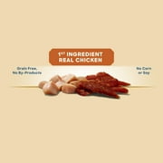 Golden Rewards Chicken Flavor Premium Dry Jerky Treats for All Dogs, 16 oz