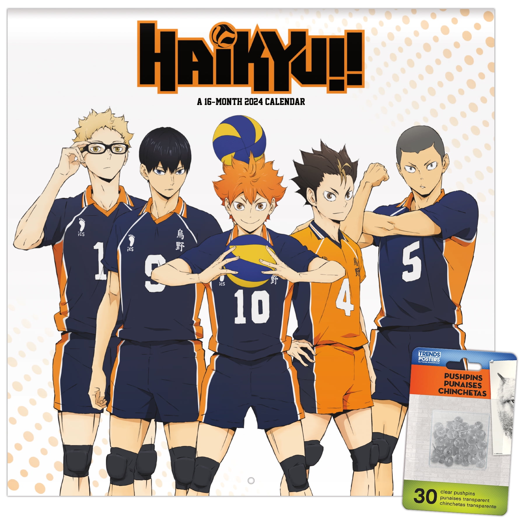 Trends International 2024 Haikyu!! Wall Calendar & Push Pins 