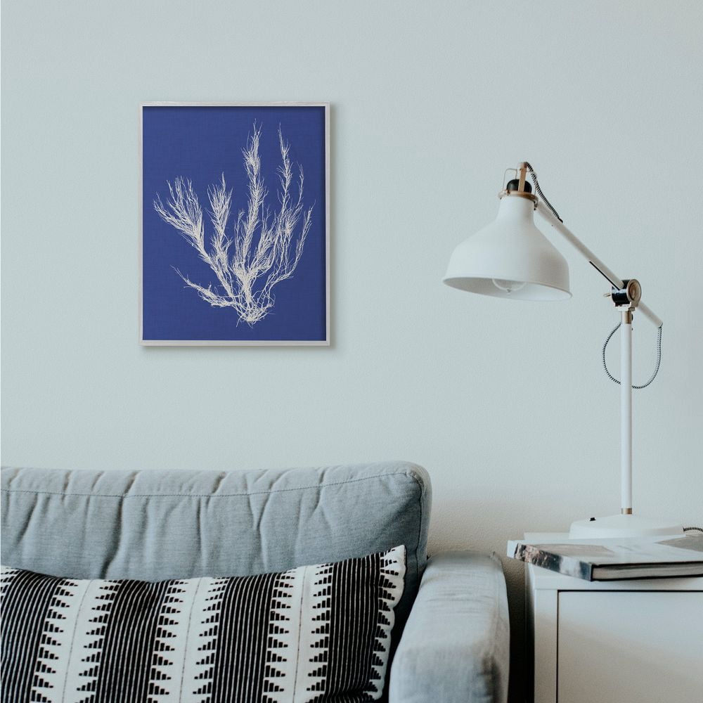 Stupell Industries Coral Seaweed Blue White Beach Design Framed Wall Art by Vision Studio