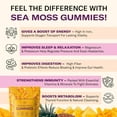 thumbnail image 4 of TrueSeaMoss Sea Moss Gummies – Immune Support, Energy Boost, Skin & Hair Health, Detox with Magnesium, Burdock Root & Bladderwrack – 60 Multiflavor Gummies, Made in the USA, 4 of 8
