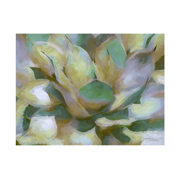 Cora Niele 'Agave Forms II' Canvas Art