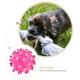 thumbnail image 5 of KAKOWELY Juguetes para mascotas, pelota masticable colorida con chirriador y sonido de graznido (color aleatorio), 5 of 5