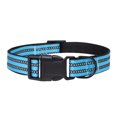 thumbnail image 1 of Collier pour Chien Rembourré en Maille Réfléchissante, Collier d'Aventure en nylon Réglable pour Animaux de Compagnie, 1 of 5
