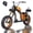 Gold, variant on BIGNIU BG-X PRO Class 2 Electric Bike, 749W Rated Motor, 52V 29.4Ah Battery, 20 MPH, Pedal Assist and Throttle