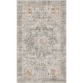 thumbnail image 3 of BERTHMEER 3'x5' Area Rugs Washable Rugs for Living Room Bedroom Dining Room Office Farmhouse Retro Traditional Non-slip Gray Taupe Rugs, 3 of 7