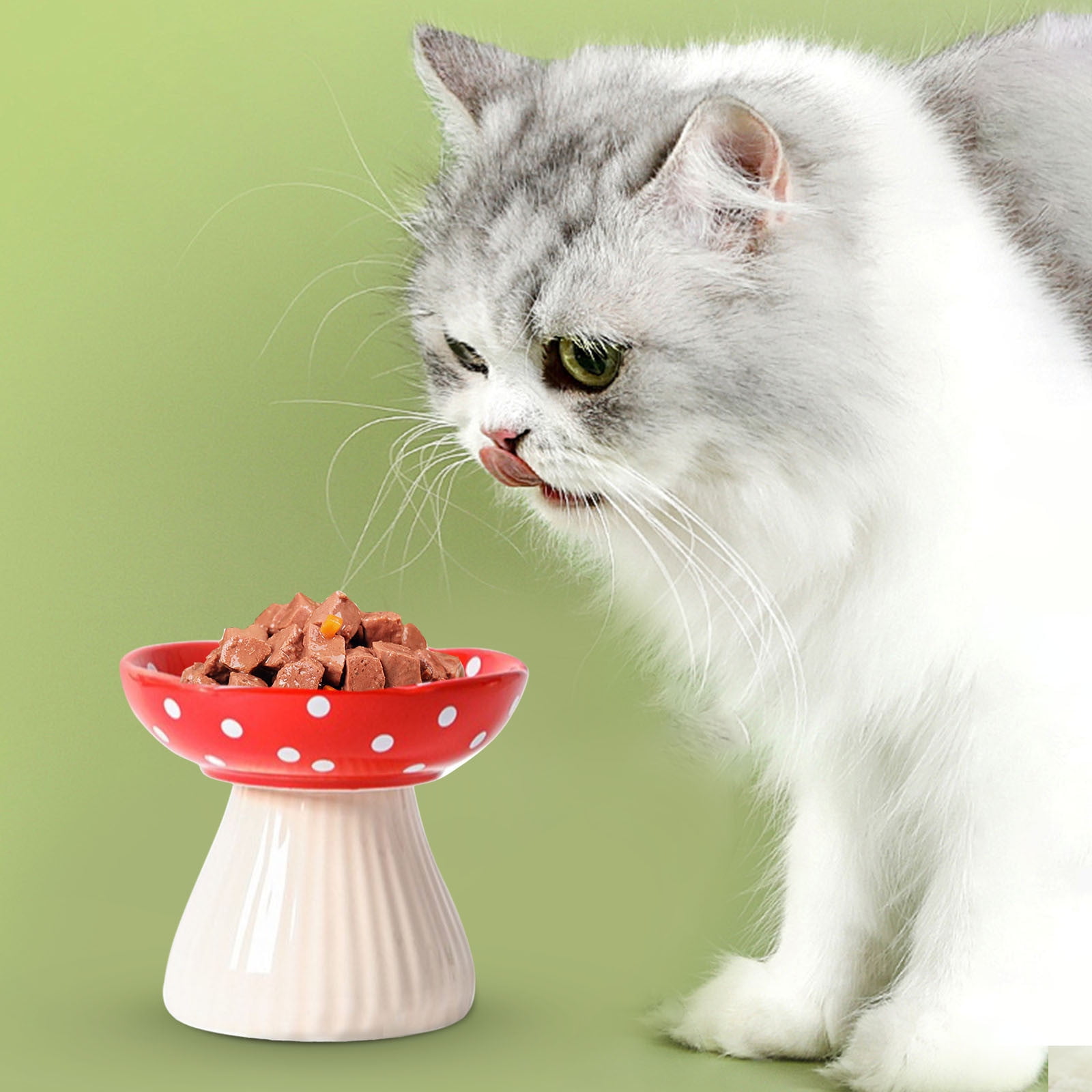 Tioncy 2-Pack Raised Ceramic Cat Slow Feeder Bowls - Elevated No-Spill Dish For Dry/Wet Food & Water (Sage Green)