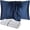 Blue, variant on DISANGNI 100% Natural Mulberry Silk Pillow case for Hair and Skin with Hidden Zipper 22 Momme Both Sides Real Silk Pillow Case (1 pc Standard Size 20"x26", Green)