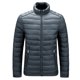 thumbnail image 1 of Hombres Sólido Casual Stand-up Collar Minimalismo Cremallera A prueba de viento y abrigos de chaqueta cálidos Pompotops oipoqjl20429, 1 of 3