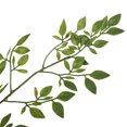 thumbnail image 4 of Nandina verde artificial/tela de seda, plástico/110 cm/(40*10*3,100), 4 of 13