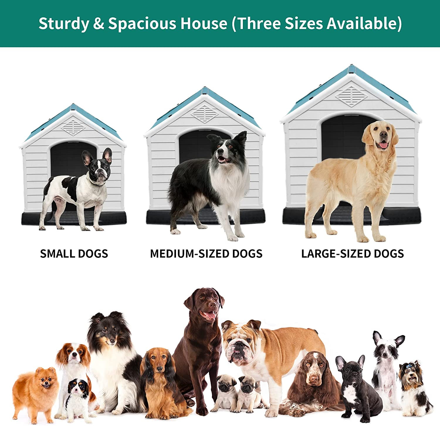 Dextrus Large Plastic Dog House Outdoor Indoor Dog Puppy Shelter Water Resistant with Air Vents and Elevated Floor (41''L*38''W*39''H, Blue)
