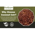 thumbnail image 5 of Loose Coconut Coir - 8 Quart Bag, 5 of 8