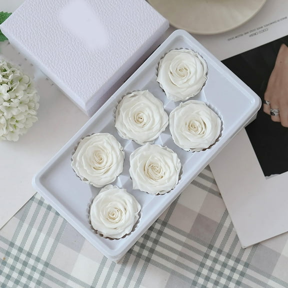 MixMart 6Pcs/Set Forever Preserved Roses in a Box, Real Roses That Last Up to 1 Years, Preserved Flowers for Delivery Birthday, Valentines Day Gifts for Her