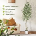 thumbnail image 3 of Artificial Olive Trees, 5/6/7 ft Tall Fake Olive Trees for Indoor, Faux Olive Silk Tree, Large Olive Plants with White Planter for Home Decor and Housewarming Gift, 1/2Pack, 3 of 6
