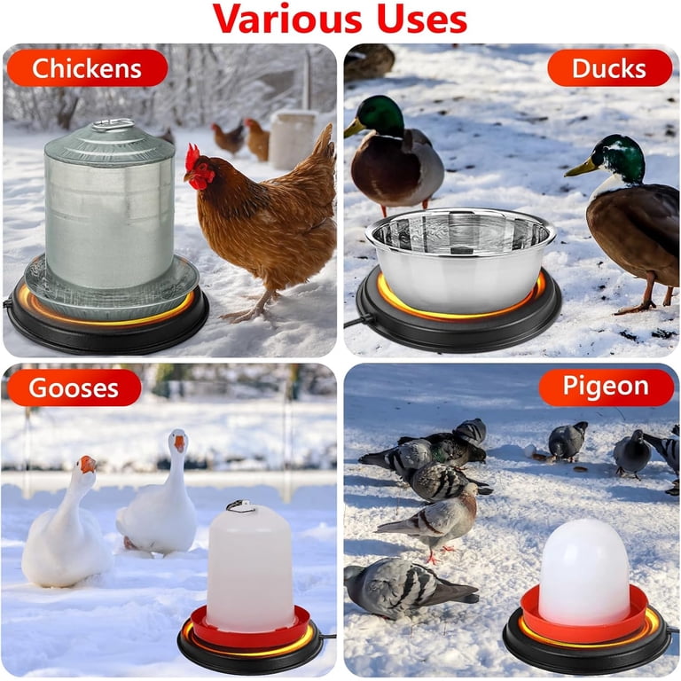 Shaledig Chicken Water Heater For Winter 12.4", 125W