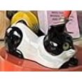 thumbnail image 3 of Distributeur de Ruban pour Chat Détaillé Brillant, 3 of 4