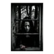 thumbnail image 1 of Calcomanía de ventana de fantasma de Halloween, cortina de puerta, mujer aterradora, decoración de fiesta para colgar en la ventana, 1 of 6