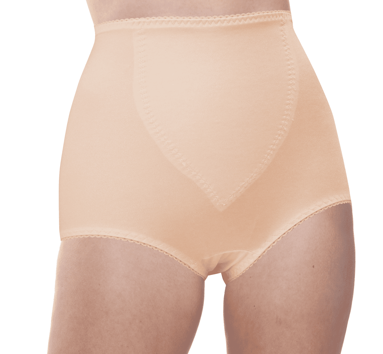 Kathryn Light Tummy Control Microfiber Brief 2-Pack (Style 751) by Teri Lingerie