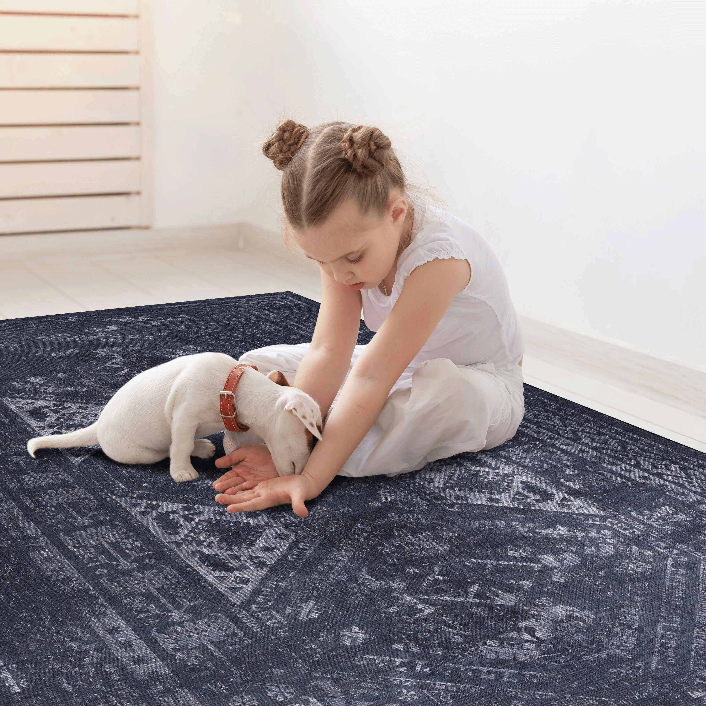 Area Rug 2' x 3' Non-Slip Low Pile Chenille Doormat Rug Stain Resistant Indoor Carpet for Living Room Bedroom Kitchen Entryway Hallway