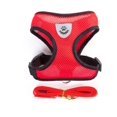 thumbnail image 1 of Cat Dog Harness with Lead Leash Adjustable Vest Polyester Mesh Breathable Harnesses Reflective sti for Small Dog Cat accessories, 1 of 5