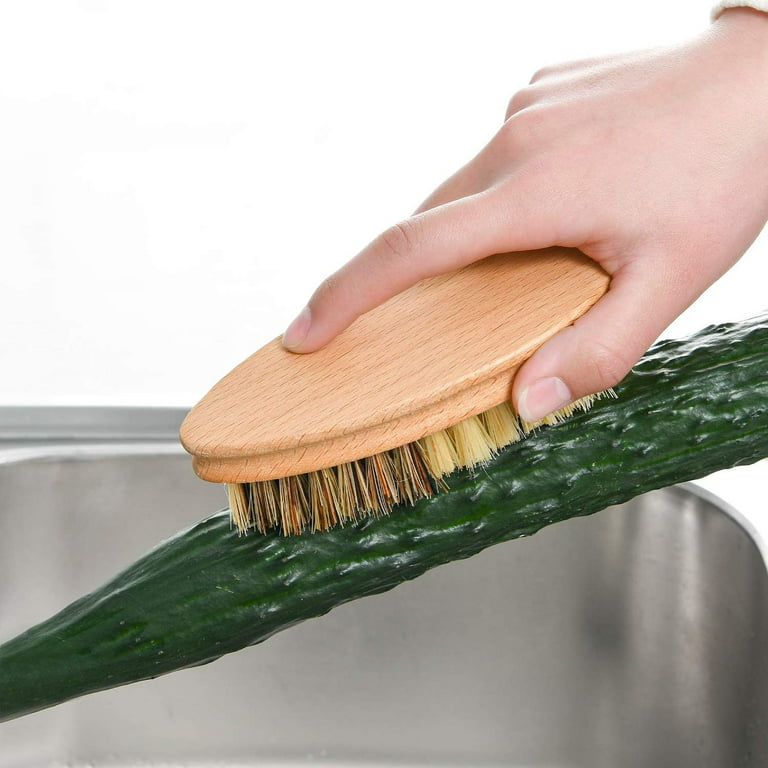 Toma 3 Pcs Vegetable Brushes Plastic Scrubbers for Food Potato Scrubber Mushroom  Brush Vegetable Scrubber Brush Veggie Scrubber 