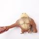 thumbnail image 3 of Best Gorillas Stretchy Spongy Squishy Monkey Gorilla Stress Relief Toy Vent Doll Best Brown, 3 of 4