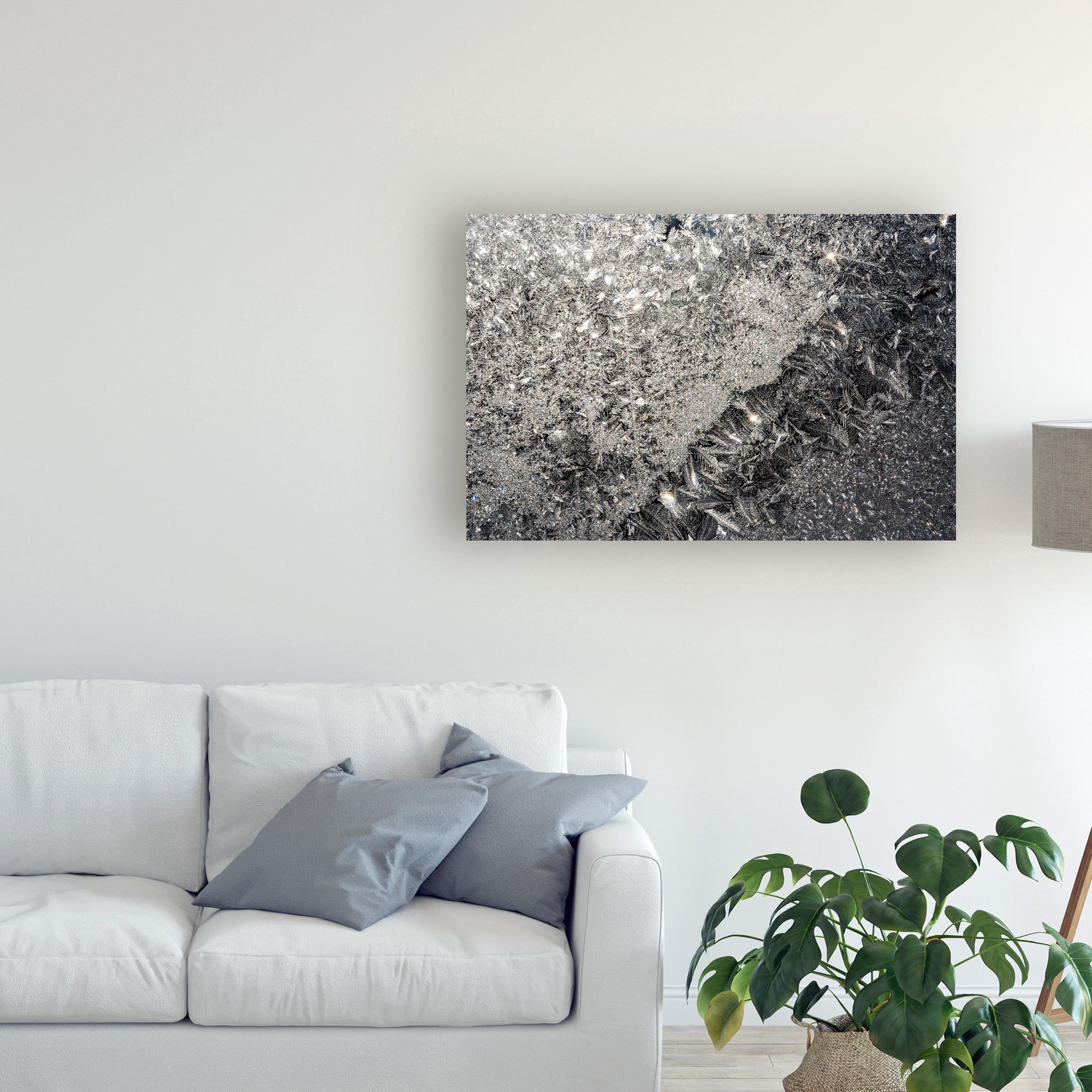 Trademark Fine Art 'Crystal Window' Canvas Art by Kurt Shaffer