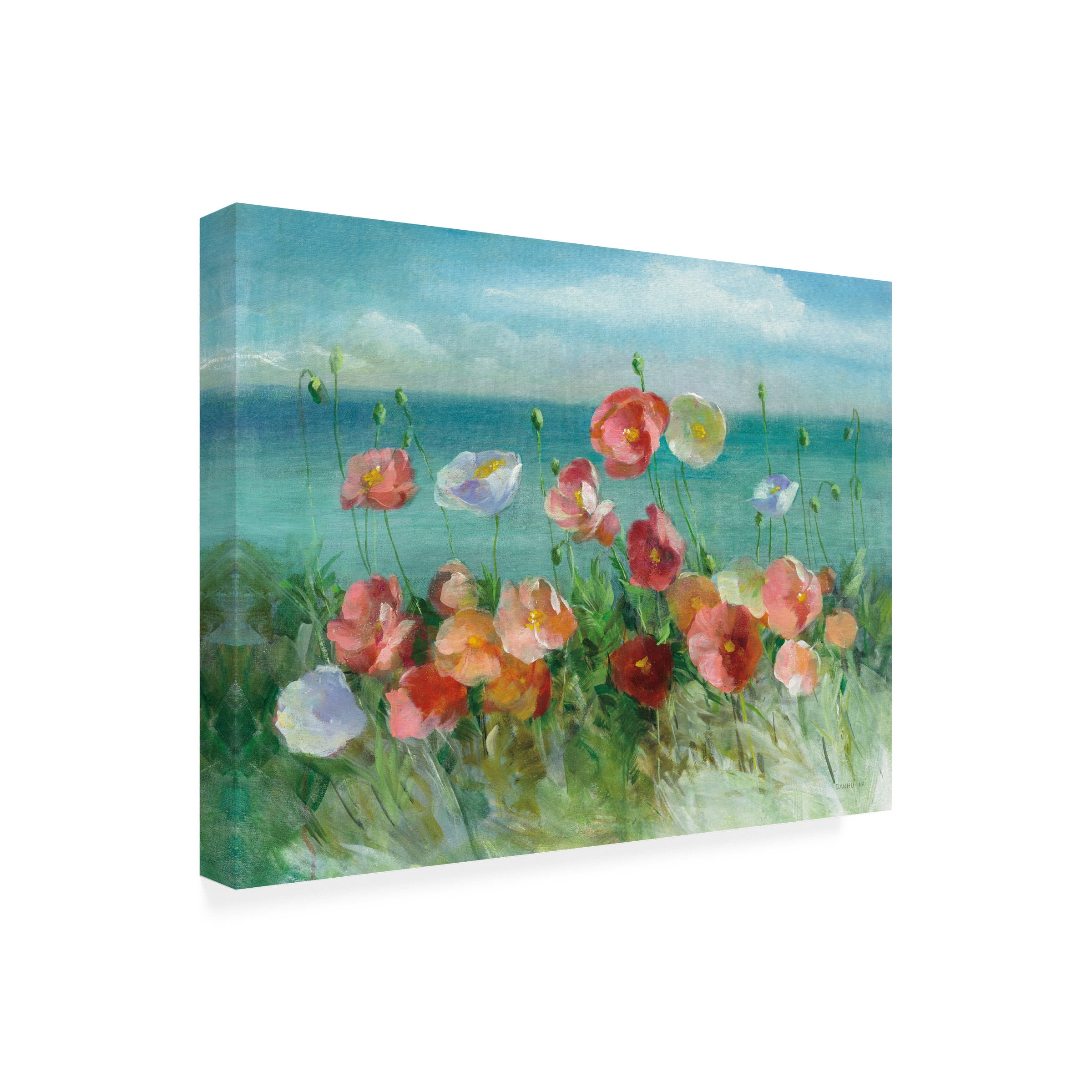 Danhui Nai 'Coastal Poppies' Canvas Art