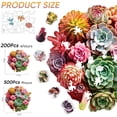 thumbnail image 3 of Puzzle de madera Reouinty, 500 piezas, suculentas coloridas para adultos, 3 of 7