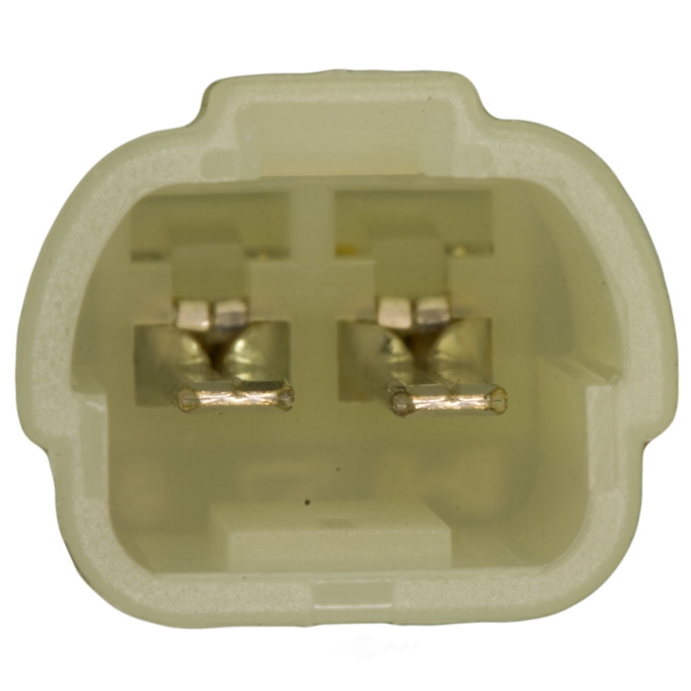 WVE Door Jamb Switch