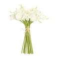 thumbnail image 6 of Efavormart 20 Pack 14" Tall Artificial Calla Lily Flowers Real Touch Single Stem Calla Lilies -  White, 6 of 10