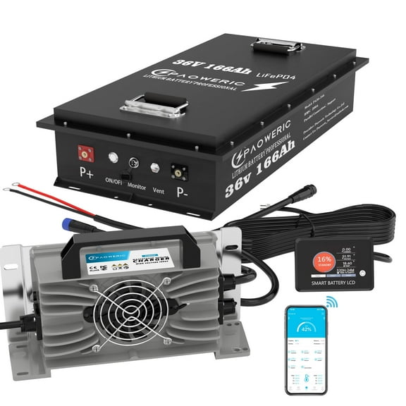 36V 166Ah LiFePO4 Lithium Golf Cart Battery with Charger, Built-in Smart 200A BMS, with LCD Monitor and APP, Max.7680W Power Output, Perfect for Golf Cart, Trolling Motor